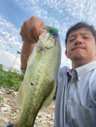 ラージマウスバスの釣果