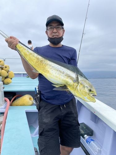 シイラの釣果