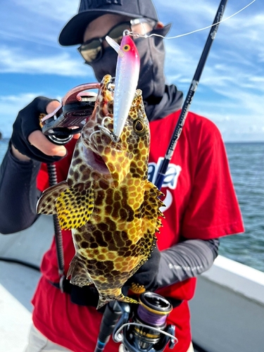 イシミーバイの釣果