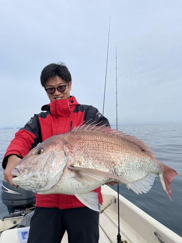 マダイの釣果