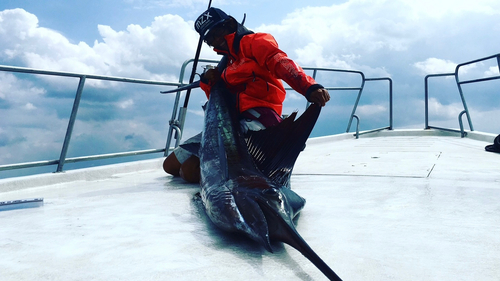 バショウカジキの釣果