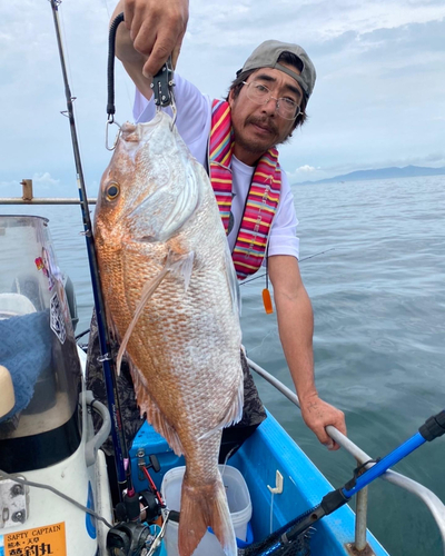 マダイの釣果