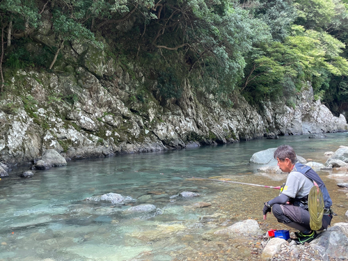 アユの釣果