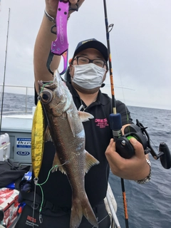 クロムツの釣果