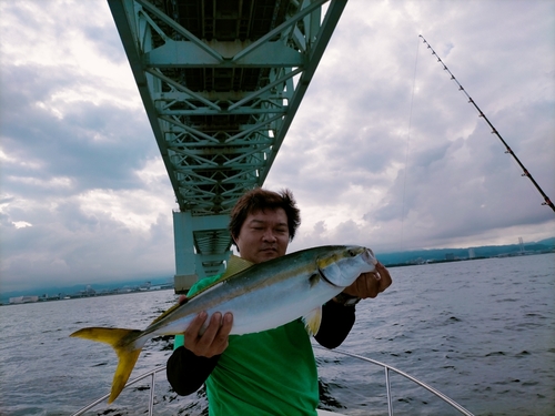 ハマチの釣果