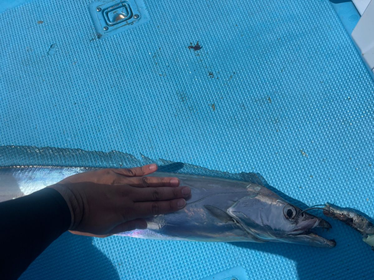 カネさんの釣果 1枚目の画像