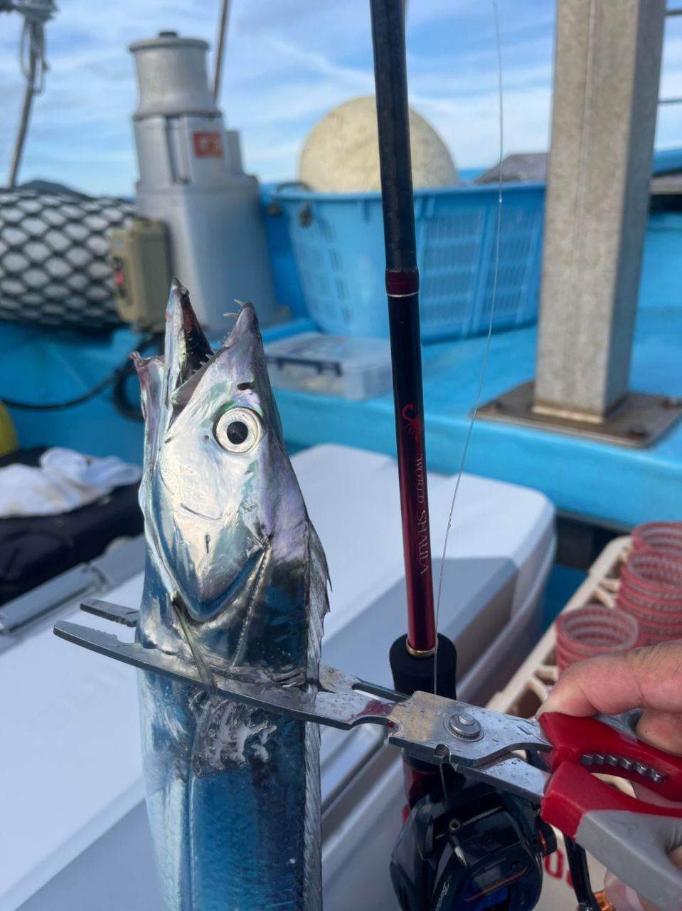 カネさんの釣果 3枚目の画像