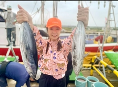 カツオの釣果