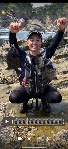 イシガキダイの釣果