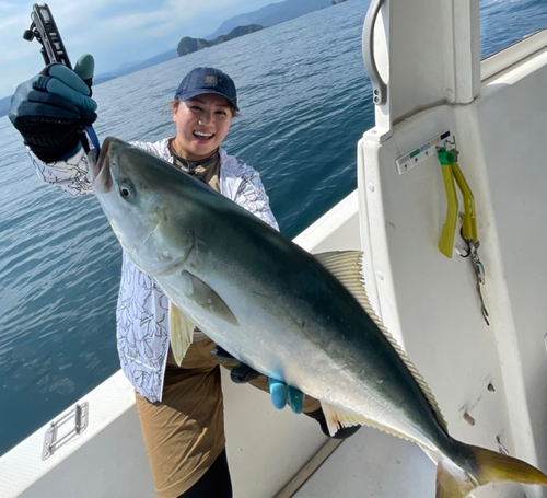 ハマチの釣果