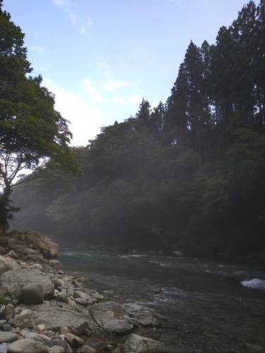 イワナの釣果