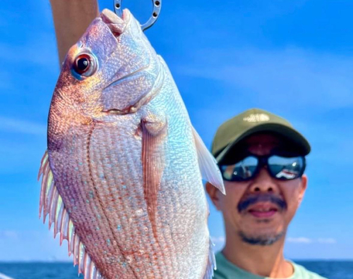 タイの釣果