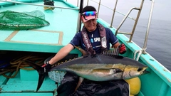 キハダマグロの釣果