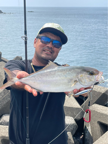 ショゴの釣果