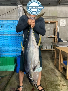 キハダマグロの釣果