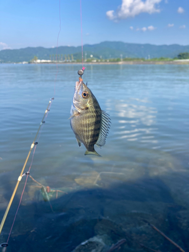 釣果