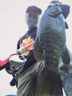 ブラックバスの釣果