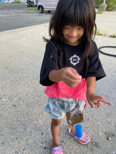 チャリコの釣果