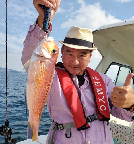 アマダイの釣果