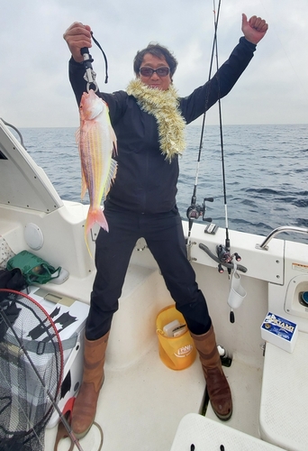 イトヨリダイの釣果