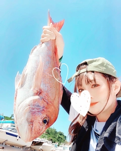 マダイの釣果