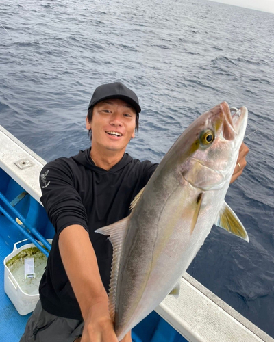 カンパチの釣果