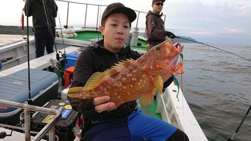 キジハタの釣果