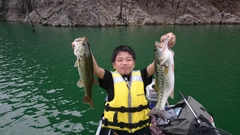 ブラックバスの釣果