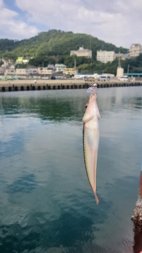 釣果