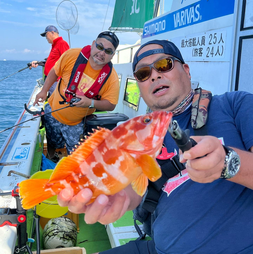 アカハタの釣果