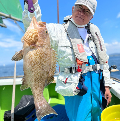 オオモンハタの釣果