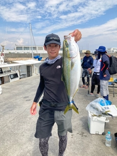 メジロの釣果