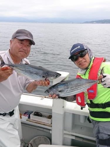 カツオの釣果