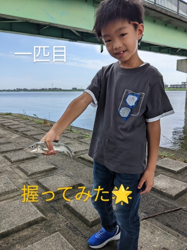 ニゴイの釣果