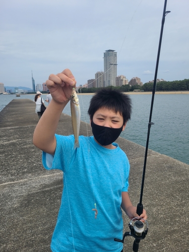 釣果