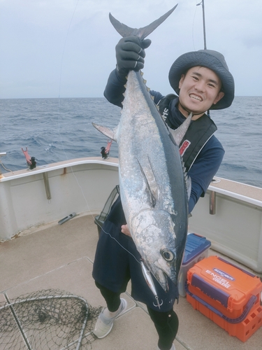 コシナガマグロの釣果