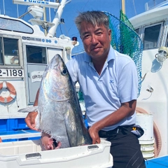 キハダマグロの釣果