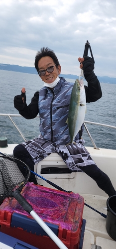 ハマチの釣果