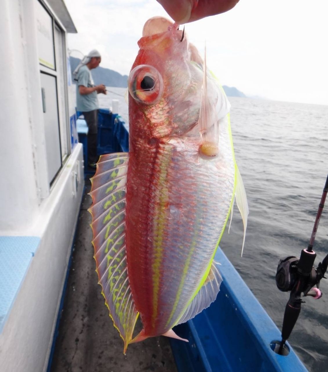 かわぐーさんの釣果 3枚目の画像