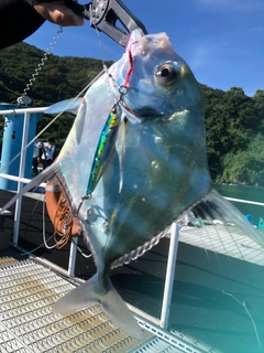 イトヒキアジの釣果