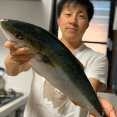 メジロの釣果