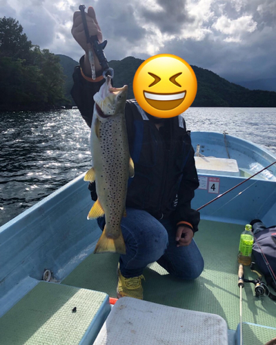 ブラウントラウトの釣果