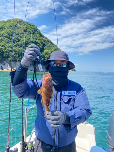 アコウの釣果