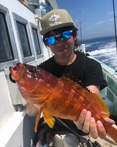 アカハタの釣果