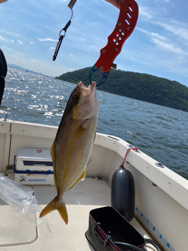 ネリゴの釣果