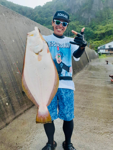 ヒラメの釣果