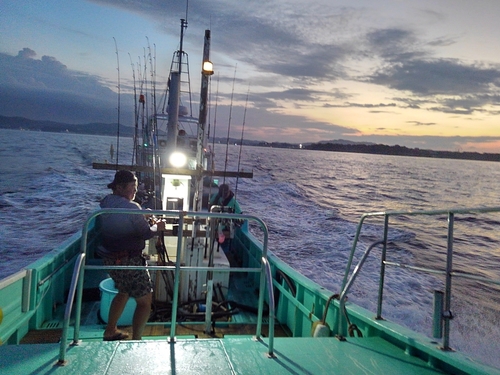 キハダマグロの釣果