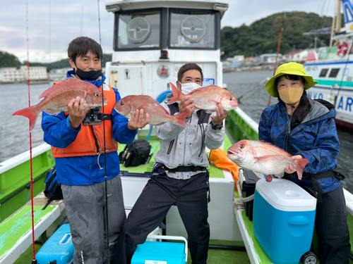 マダイの釣果