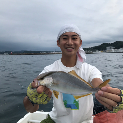 ショゴの釣果