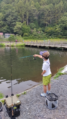 ニジマスの釣果